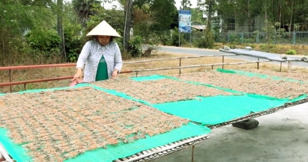 Dàn “vũ nữ chân dài” - đặc sản An Giang "đốn tim" dân nhậu miền Tây