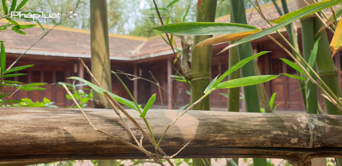 Theo quan niệm &Aacute; Đ&ocirc;ng, c&acirc;y tre l&agrave; biểu tượng của mẫu người qu&acirc;n tử, bởi lo&agrave;i c&acirc;y n&agrave;y tuy cứng m&agrave; vẫn mềm mại, đổ m&agrave; kh&ocirc;ng g&atilde;y, l&ograve;ng rỗng như tinh thần an nhi&ecirc;n tự tại, kh&ocirc;ng m&ecirc; đắm quyền vị, vật chất. Ảnh Ch&iacute; Ki&ecirc;n