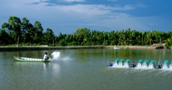 Tổng Cục Thuỷ sản xử phạt 5 cơ sở sản xuất ương dưỡng thuỷ sản