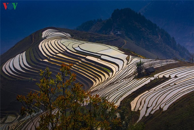 tho mong ban dinh cu cu vai hinh 11