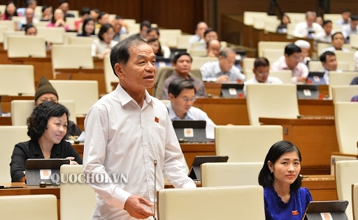 ĐBQH Lê Thanh Vân: Cần làm rõ ai đứng sau hành vi giả người ăn xin ở Hội An