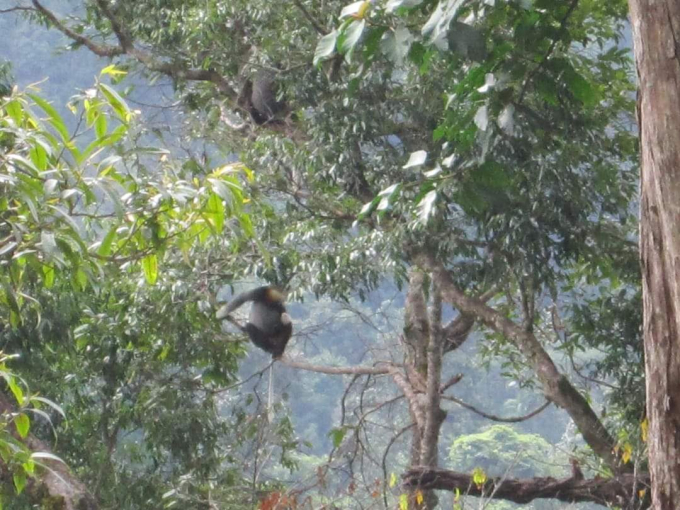 received_512738112730550.