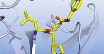 Tìm ra 6 loại thuốc được cho có thể giúp điều trị Covid-19