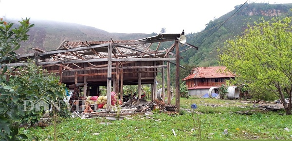 moc chau: xay ra mua da kem dong loc gay thiet hai 12 ty dong hinh anh 3