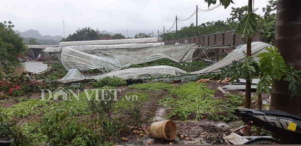 moc chau: xay ra mua da kem dong loc gay thiet hai 12 ty dong hinh anh 6