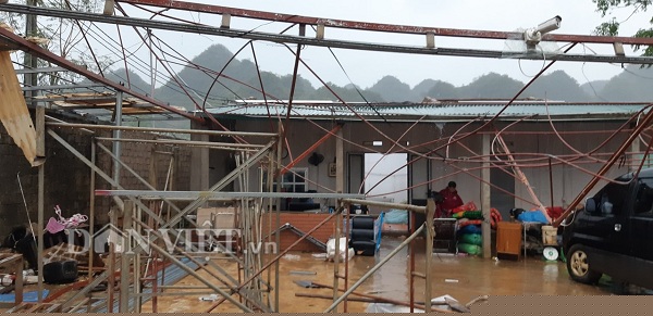 moc chau: xay ra mua da kem dong loc gay thiet hai 12 ty dong hinh anh 9