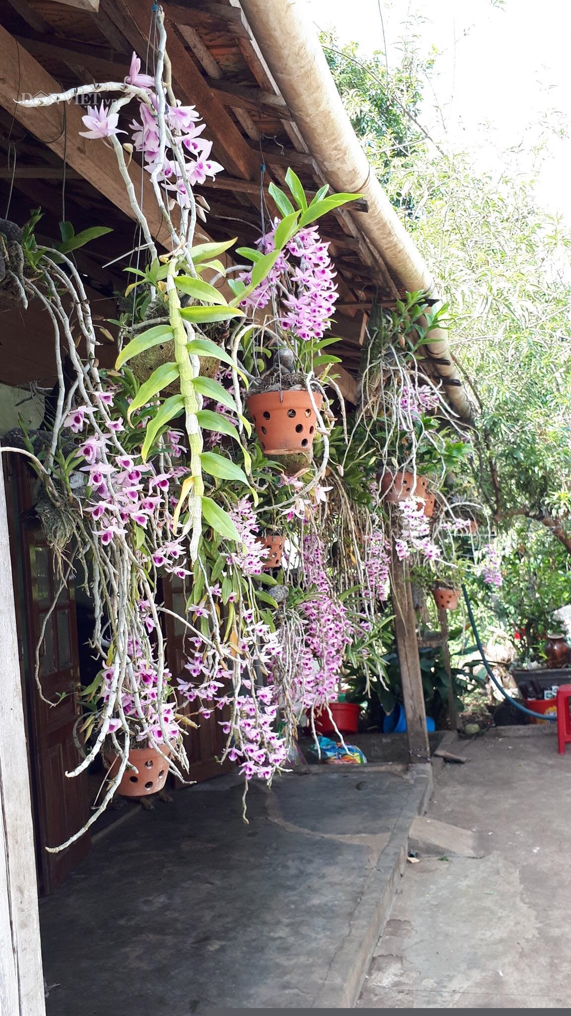 them nha treo toan hoa lan rung quy hiem cua trai 9x tinh dak nong hinh anh 6