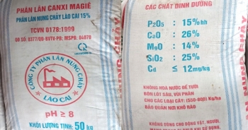 Lân nung chảy Lào Cai nhái logo, bao bì Lân Văn Điển?