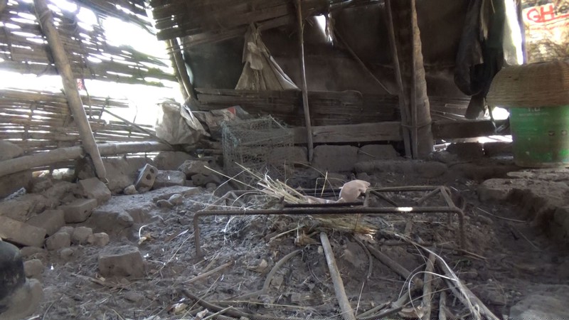 Phú Thọ: Những phận người cùng cực quanh năm bị cách ly không phải vì dịch Covid mà do bệnh...tâm thần