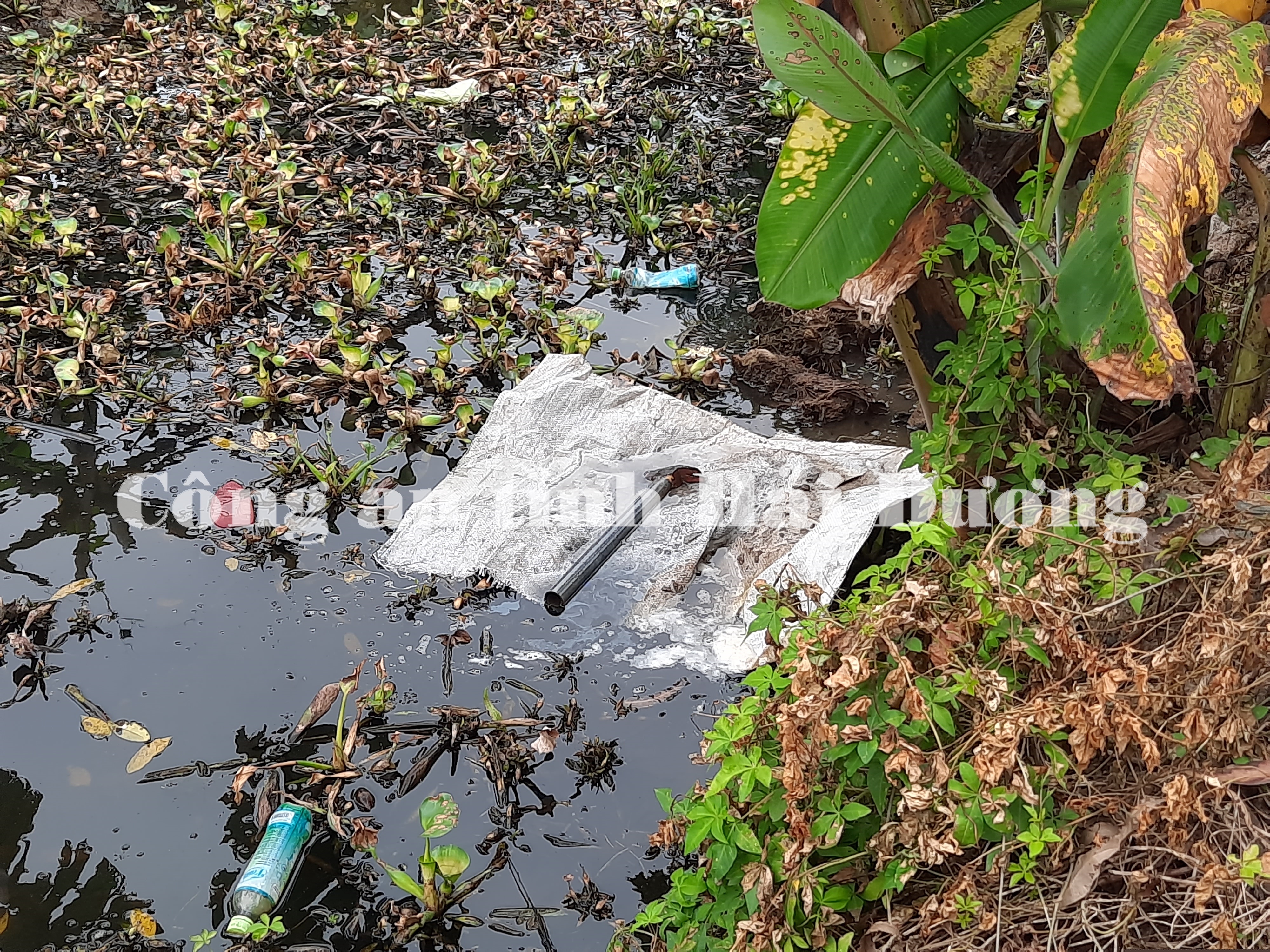 Hung khí đối tượng gây án