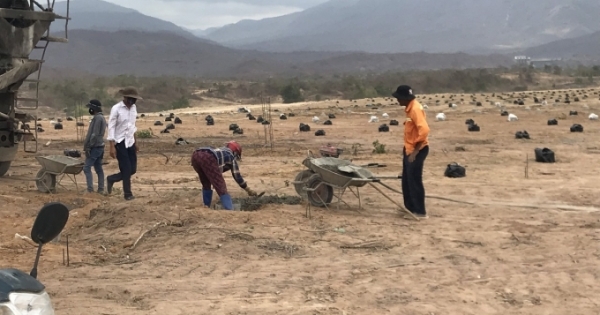 Ninh Thuận: Cần nghiêm trị nhóm côn đồ chém người tại dự án trọng điểm