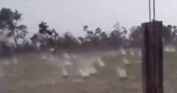 Clip: Kinh hoàng mưa đá khổng lồ dội xuống cánh đồng tại Cao Bằng