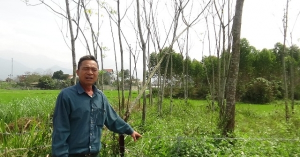 Vụ “người sống tranh…đất với người âm”: Huyện Sơn Dương hồi âm bài viết của Pháp luật Plus