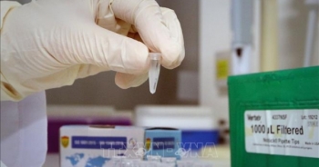 WHO và Anh công nhận bộ xét nghiệm COVID-19 của Việt Nam