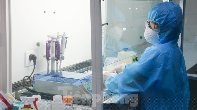 Giá 1,4 tỷ đồng, máy phục vụ xét nghiệm COVID-19 của Đà Nẵng hoạt động như thế nào?  - ảnh 5