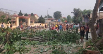 Video ghi lại khoảnh khắc cây đa hơn 300 tuổi gãy cành đè trúng nhiều học sinh