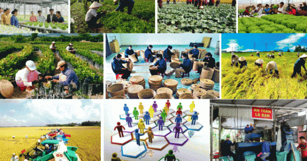 Quỹ hỗ trợ phát triển hợp tác xã hoạt động không vì lợi nhuận