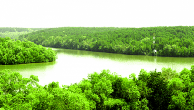 “Lá phổi” của Sài Gòn