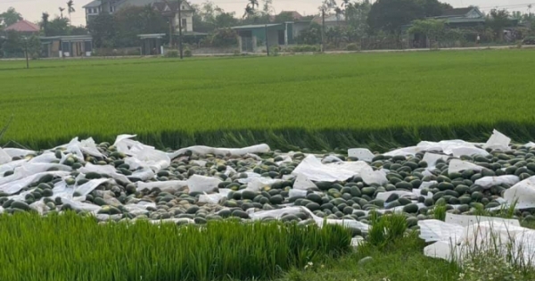 Hà Tĩnh: Xe tải chở dưa hấu lật xuống ruộng, người dân chung tay giải cứu