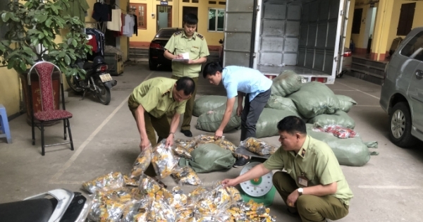 Lạng Sơn: Bắt giữ, tiêu hủy hàng nghìn chân gà nhập lậu