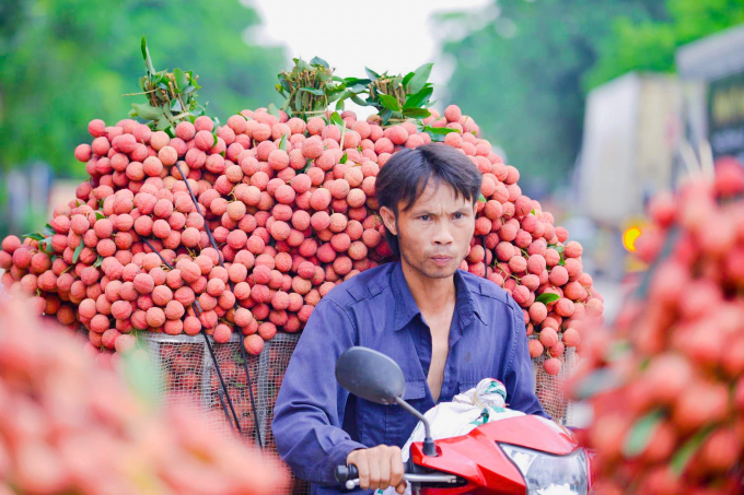 Bắc Giang ‘đại thắng’ vụ vải thiều 2020. Ảnh Afamily.