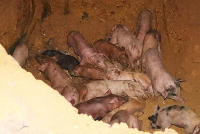 FB_IMG_1618319613905