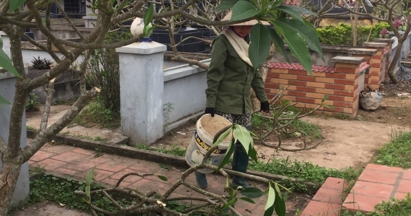 Hải Phòng: Khẩn trương truy bắt kẻ đập phá mộ tại nghĩa trang Hà Phương