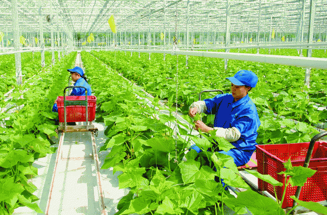 Một số chính sách quan trọng sẽ có hiệu lực từ cuối tháng 4/2021