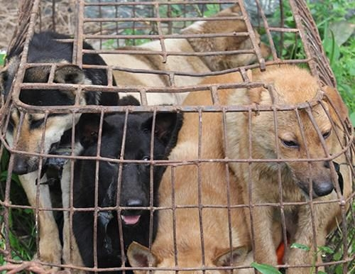 b0a4c452e2100b4e5201