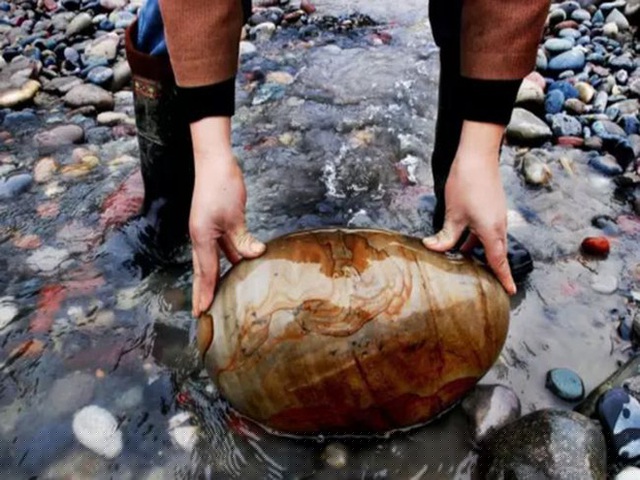 Một viên đá trên sông với đường vân độc đáo.