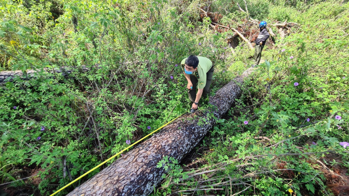 taynguyen-kimanh-3-9750.