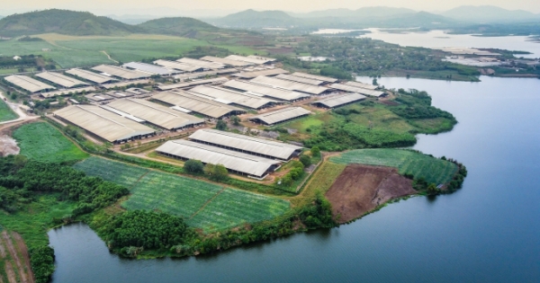 Công ty CP Thực phẩm Sữa TH đoạt giải Vàng Chất lượng quốc gia 2019-2020