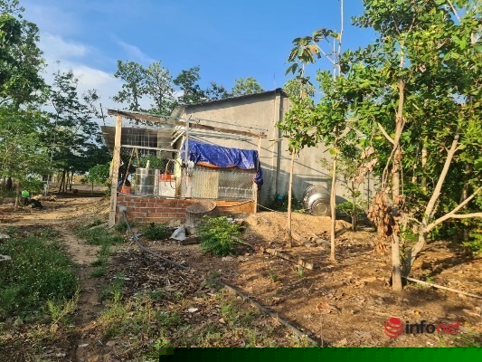 Giao 438 ha rừng l&agrave;m kinh tế, doanh nghiệp 'bỏ chạy', cả đất lẫn rừng 'biến mất'