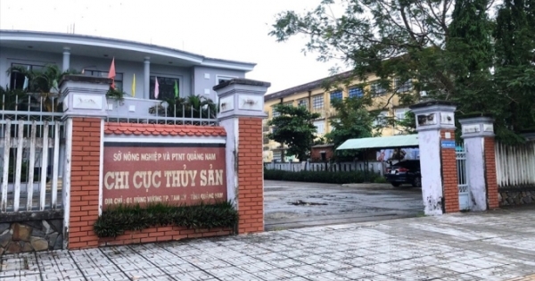 Nhận hối lộ, nguyên Chi cục trưởng Chi cục Thủy sản tỉnh Quảng Nam bị khởi tố, bắt giam