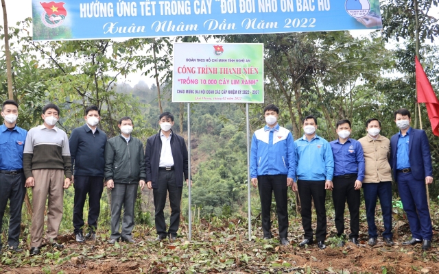 Nghệ An: Trồng 10.000 cây lim xanh hưởng ứng Tết trồng cây