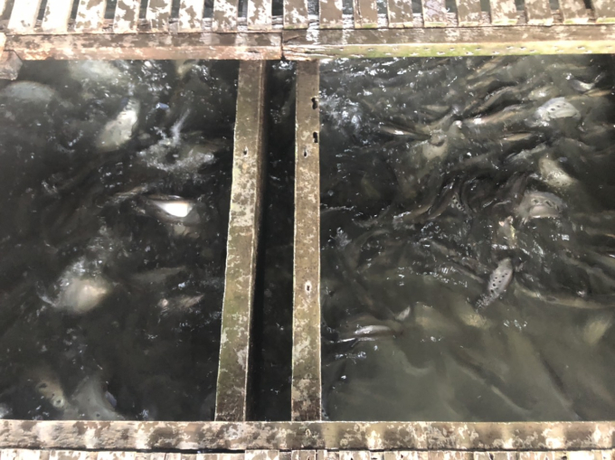 z3333697240558_efdfd9c913688ace56c11f000568bbc8