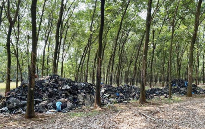 3362DAEF-06F5-4E29-A821-069C21B8B175.