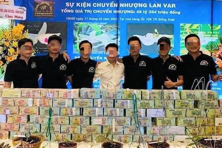 Những cuộc giao dịch mua bán lan đột biến gây choáng, tiền chất cao như núi, khách không ngại bỏ ra trăm tỷ đồng để sở hữu cây lan bé tí tẹo (Ảnh: Internet).