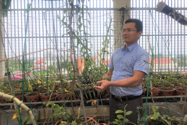 Chậu lan đột biến Hồng Minh Châu từng có người trả giá hàng chục tỷ đồng giờ bán không ai mua.