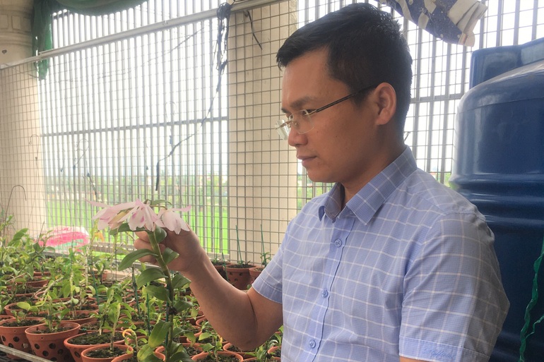 Cả vườn lan đột biến của gia đình ông V. giờ chỉ đến ngắm chơi. Trong ảnh tác giả bên cây lan đột biến đang ra hoa giờ