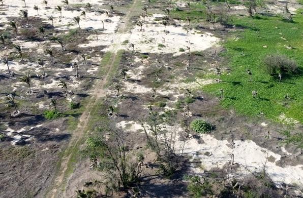 Bộ C&ocirc;ng an thực địa th&ecirc;m dự &aacute;n &lsquo;đất v&agrave;ng&rsquo; ở B&igrave;nh Thuận ảnh 1