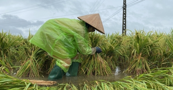 Năm 2022, thiên tai diễn biến phức tạp, dị thường