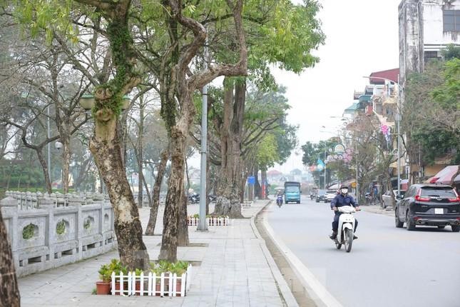 Phố đi bộ ở thị xã Sơn Tây gồm 4 tuyến phố là Nguyễn Thái Học, Phan Chu Trinh, một phần phố Lê Lợi và Phó Đức Chính. Ảnh: Tiền Phong