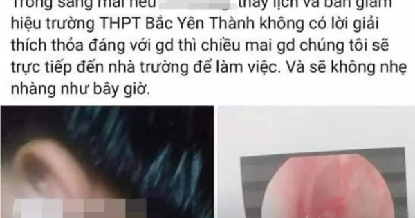 Nghệ An: Tạm đình chỉ công tác Bí thư đoàn trường tát nam sinh lớp 10