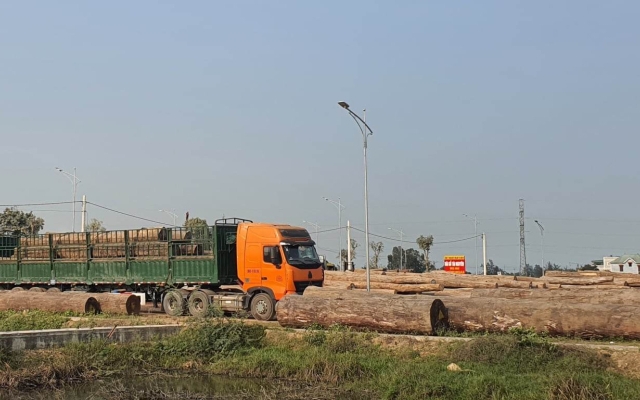 Nghệ An: Doanh nghiệp ngang nhi&ecirc;n sử dụng đất đấu gi&aacute; để tập kết gỗ