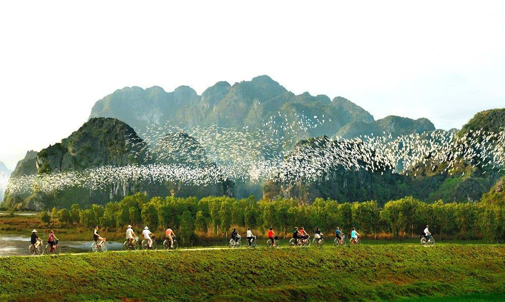 vuon-chim-thung-nham-6