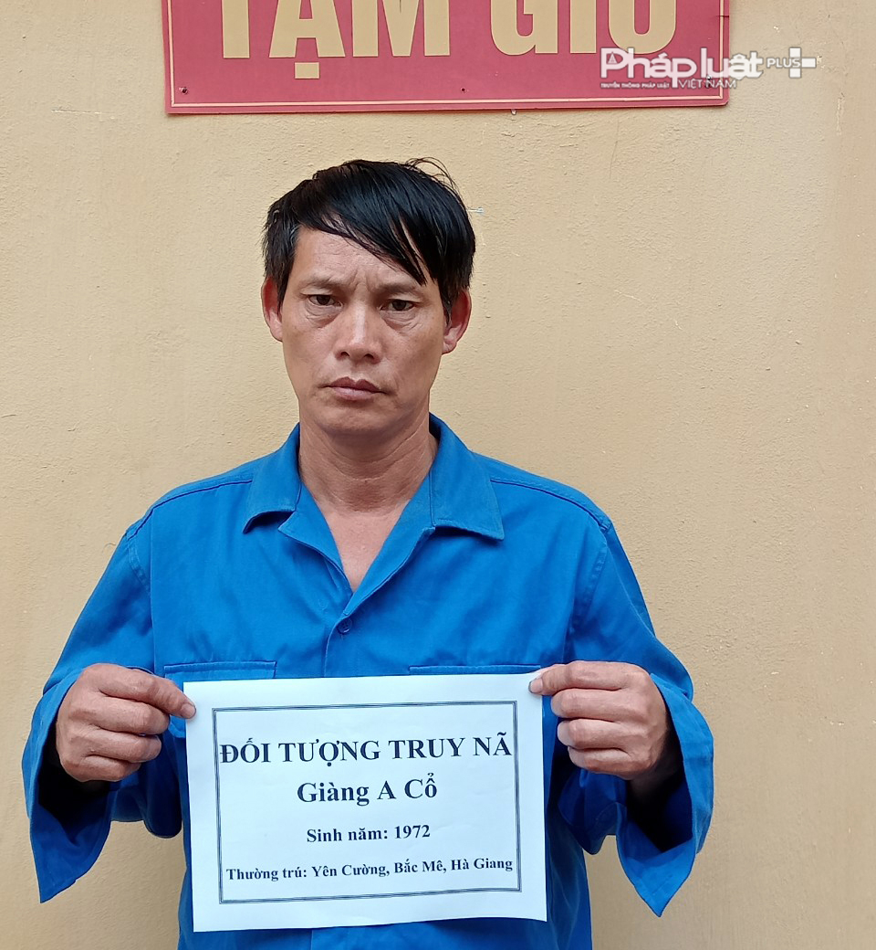 1e2240fdc2311e6f4720