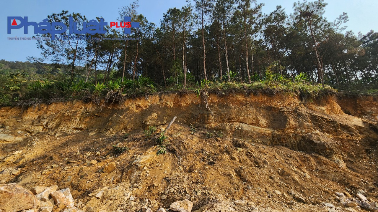 z4185661471142_03adb74da592b4ba30121a5591973cc1-0826