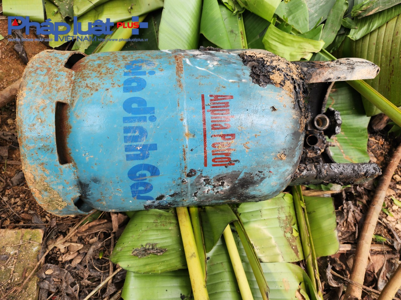 z4270652811938_979f5e58e875bfcea9fc7949c846b91e