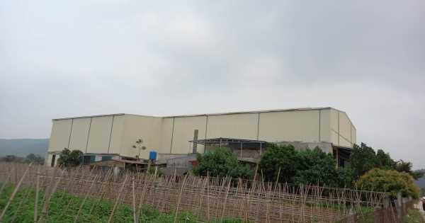 Hải Dương: Khẩn trương kiểm tra, rà soát vi phạm tại Công ty CP cá giống Kinh Môn